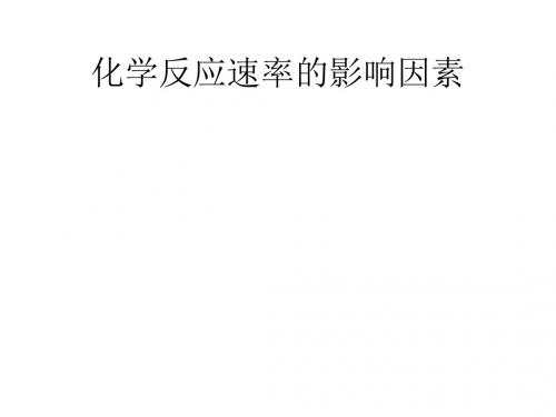 【2019年整理】《化学反应速率的影响因素》课件5苏教版选修41