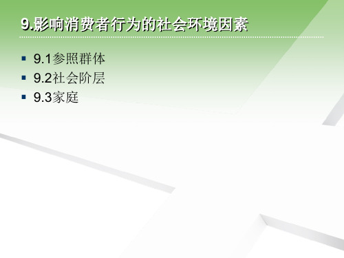 消费者行为学9