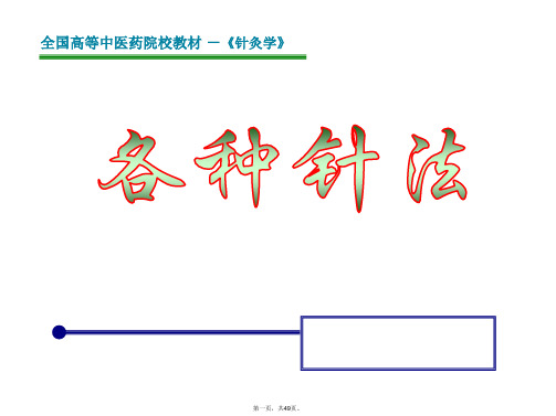 《各种特色针法》课件