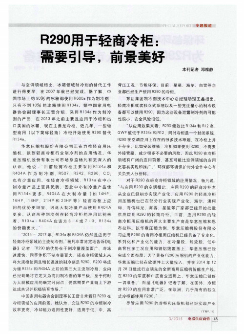 R290用于轻商冷柜：需要引导,前景美好
