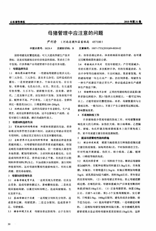 母猪管理中应注意的问题