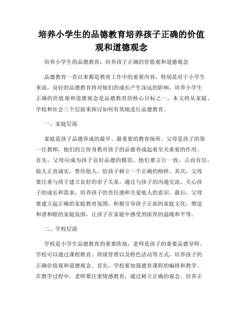 培养小学生的品德教育培养孩子正确的价值观和道德观念