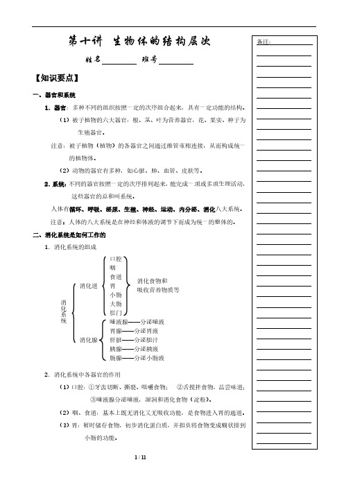初中生物 生物体的结构层次