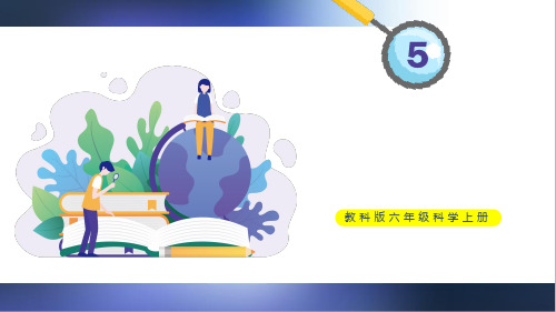 2023年教科版六年级科学上册第5课 影子的四季变化