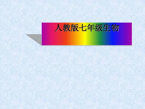 人教版 生物对环境的适应和影响 精品PPT课件7