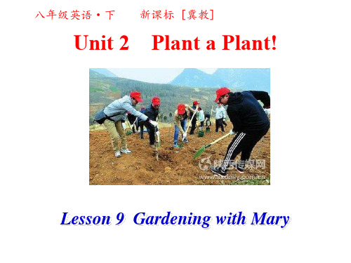 冀教版英语八年级下册精品课件第二单元第三课时