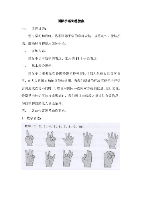 国际手语教案