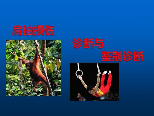 肩袖损伤的诊断与鉴别诊断PPT课件