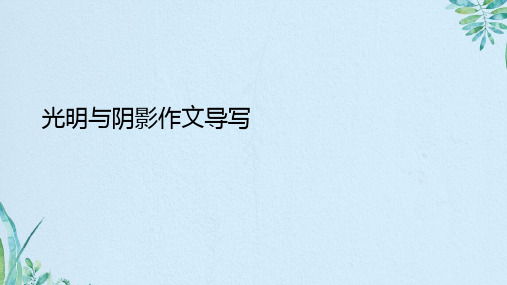 光明与阴影作文导写