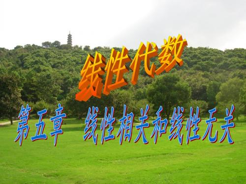 线性相关线性相关等价命题