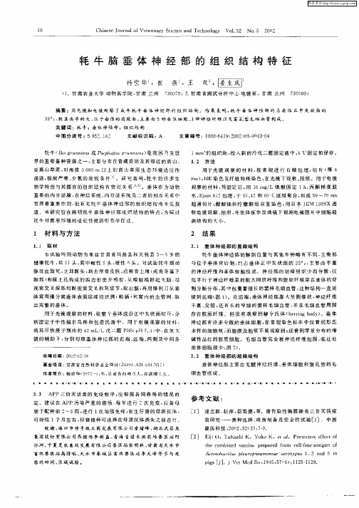 牦牛脑垂体神经部的组织结构特征