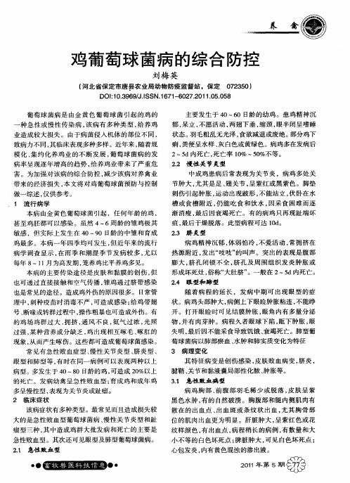 鸡葡萄球菌病的综合防控