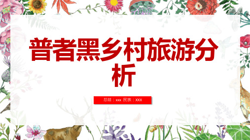 普者黑乡村旅游分析