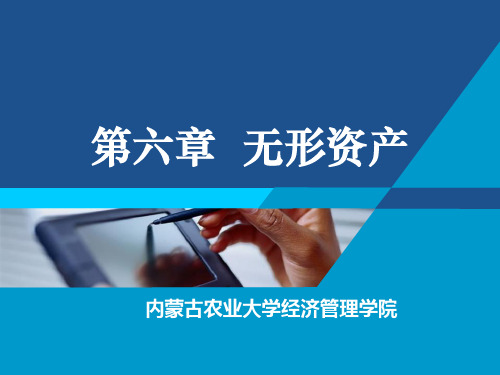 第06章无形资产-S