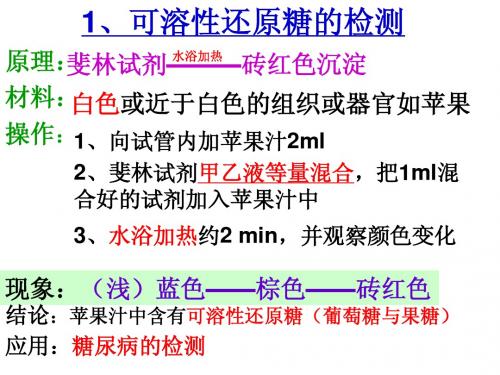 2.2蛋白质