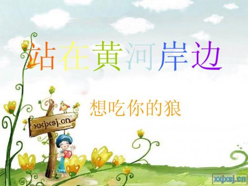 来到黄河岸边