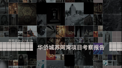 华侨城苏河湾项目考察报告