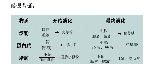 消化和吸收2