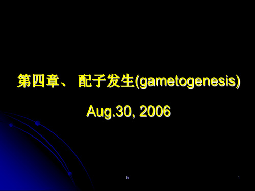 发育生物学课件 第四章、配子发生