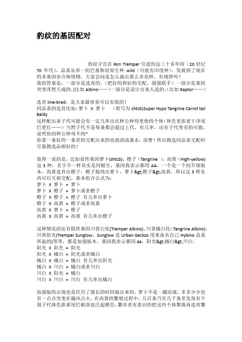 豹纹的基因配对