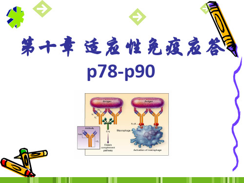 第十章 适应性免疫
