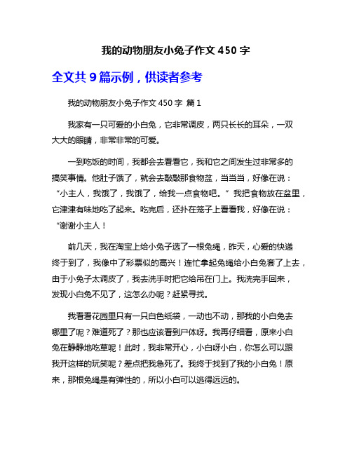 我的动物朋友小兔子作文450字