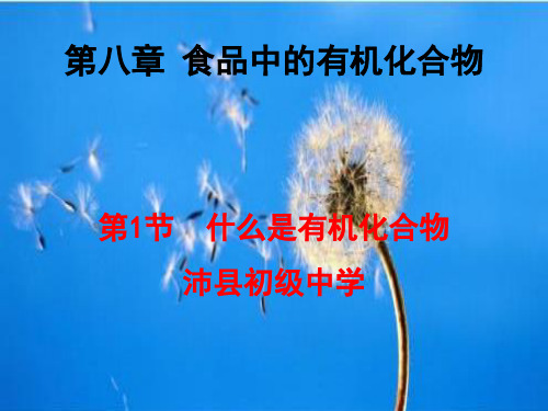 沪教化学下册第8章1什么是有机化合物(共25张PPT)