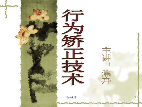 惩罚和消退ppt课件