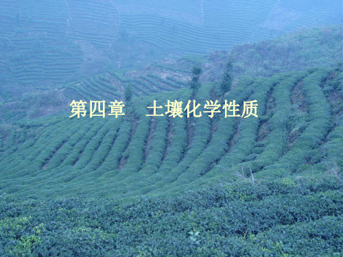 土壤学课件(第四章)