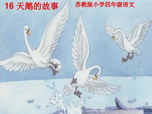 16 天鹅的故事ppt