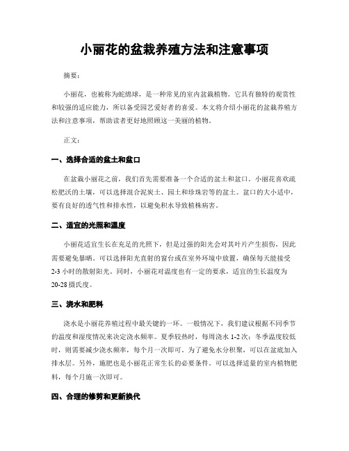 小丽花的盆栽养殖方法和注意事项