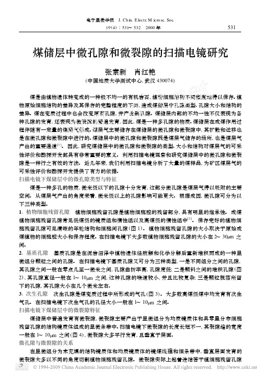 煤储层中微孔隙和微裂隙的扫描电镜研究