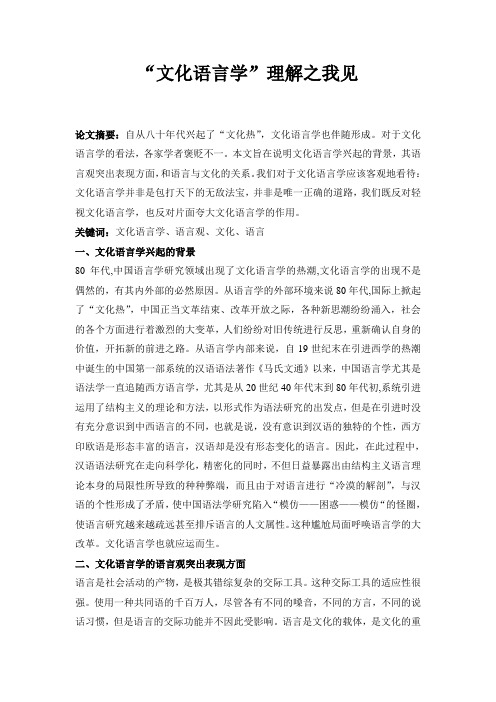 “文化语言学”理解之我见