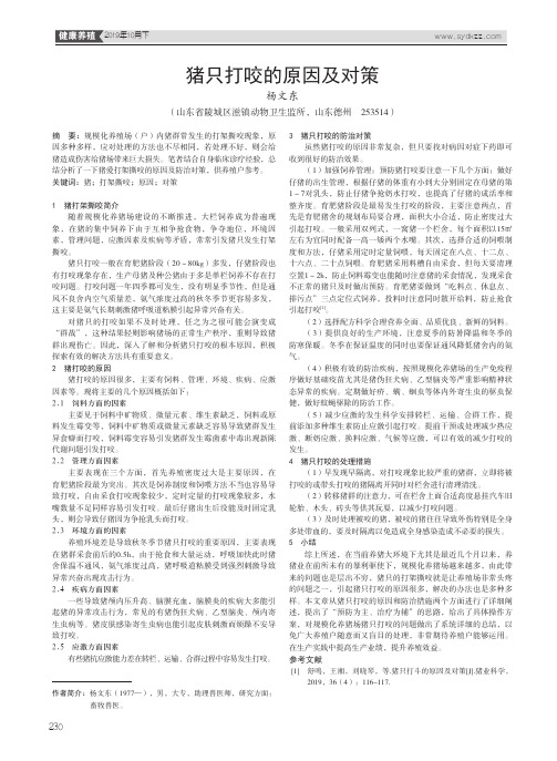 猪只打咬的原因及对策