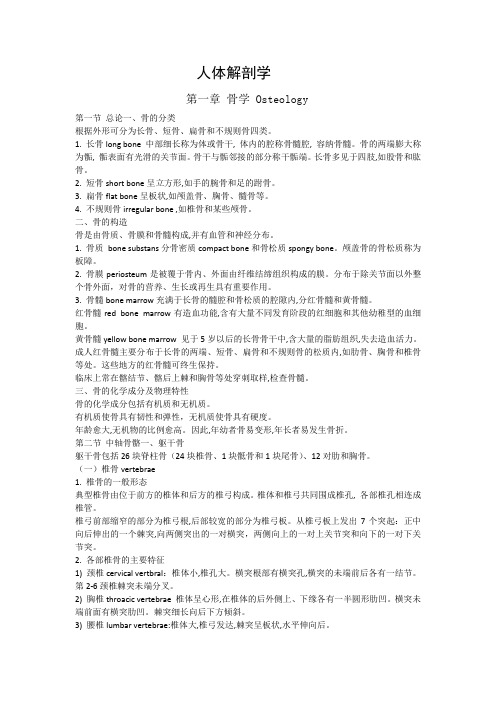系统解剖学