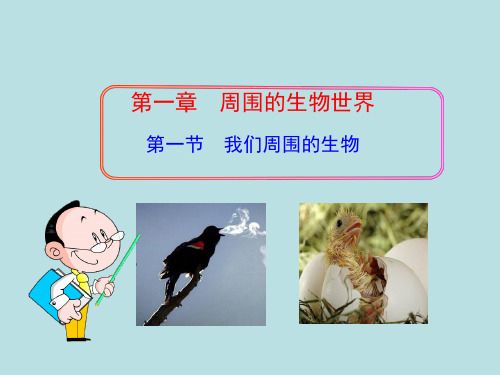 苏教版七年级生物上册第1章第1节我们周围的生物(共31张PPT)