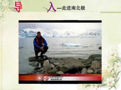 第十章 极地地区课件