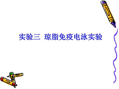 实验三 琼脂免疫电泳实验