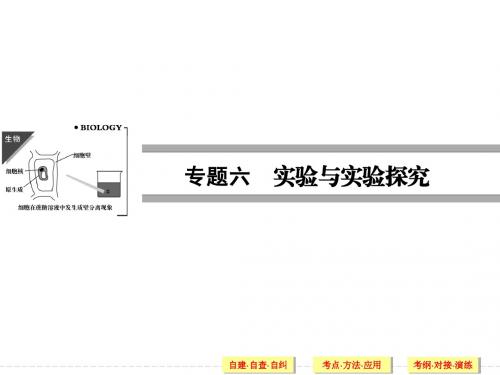 2014届高考二轮复习课件  第14讲