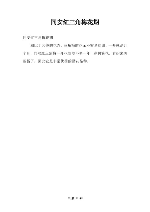 同安红三角梅花期
