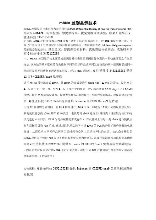 mRNA差别显示技术