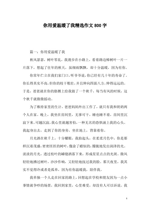 你用爱温暖了我精选作文800字