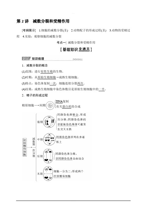 2020版新一线高考生物人教版一轮复习教学案：第4单元第2讲减数分裂和受精作用含答案