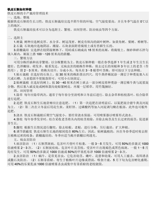 铁皮石斛种植,铁皮石斛种植技术,铁皮石斛种植方法