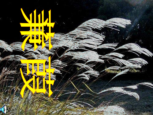 《蒹葭》PPT课件二