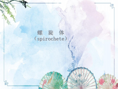 【临床微生物检验】螺旋体(spirochetes)