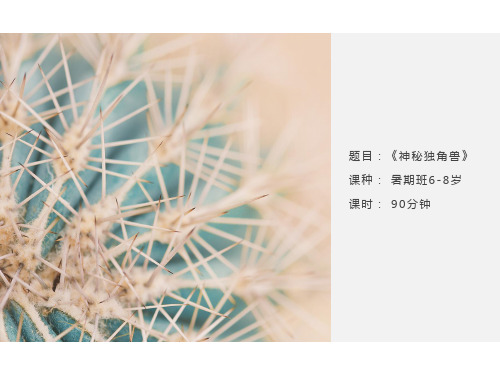 美术教案课件—— 6-8岁  《神秘独角兽》