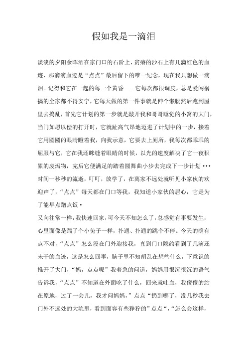 初一想象假如我是一滴泪
