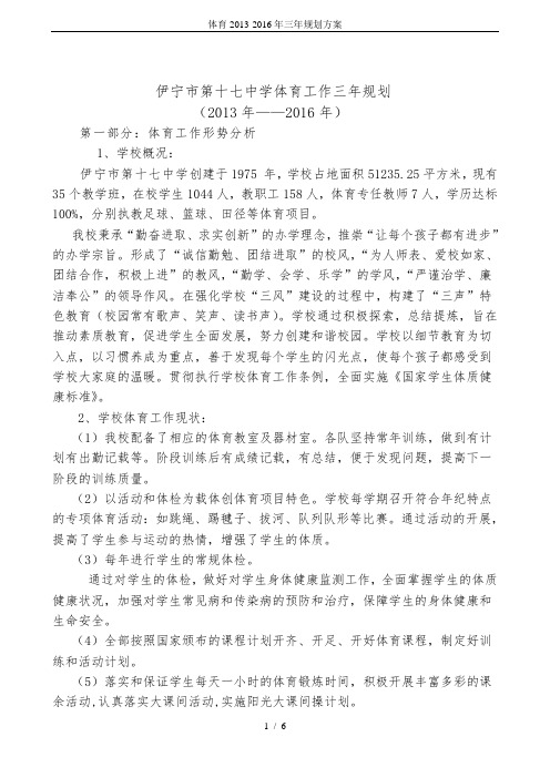 体育2013-2016年三年规划方案
