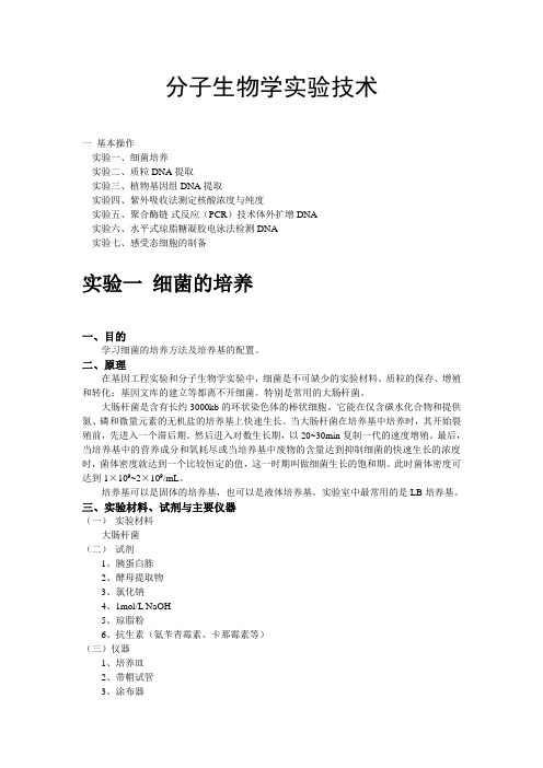 分子生物学实验安排